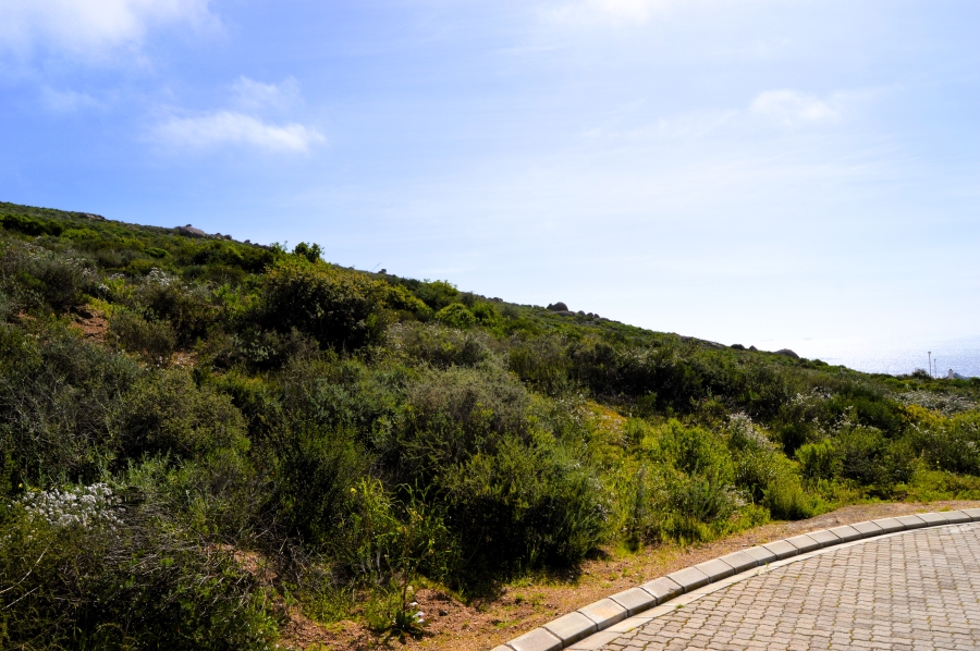 0 Bedroom Property for Sale in St Helena Views Western Cape